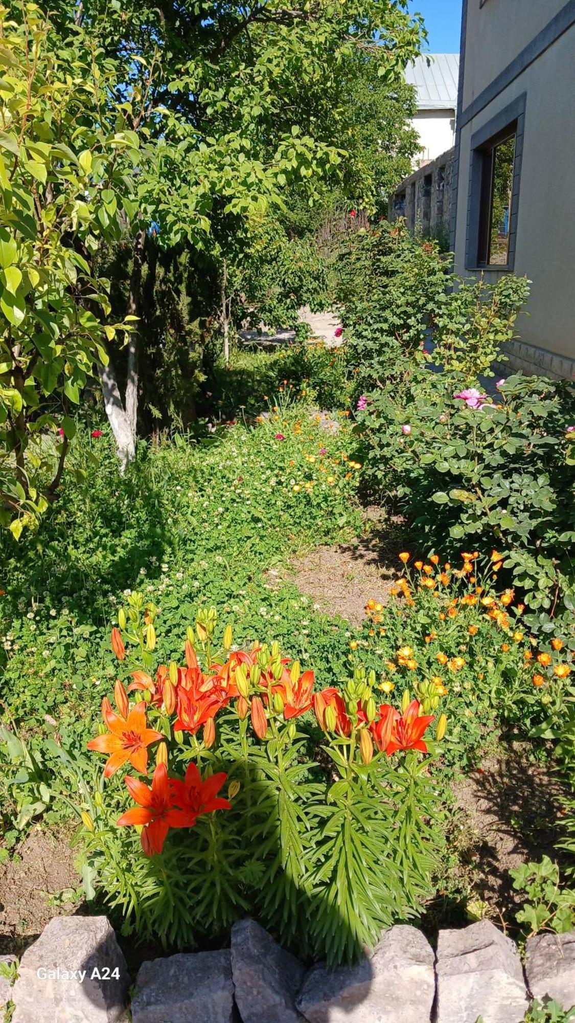 Green Dilijan B&B المظهر الخارجي الصورة