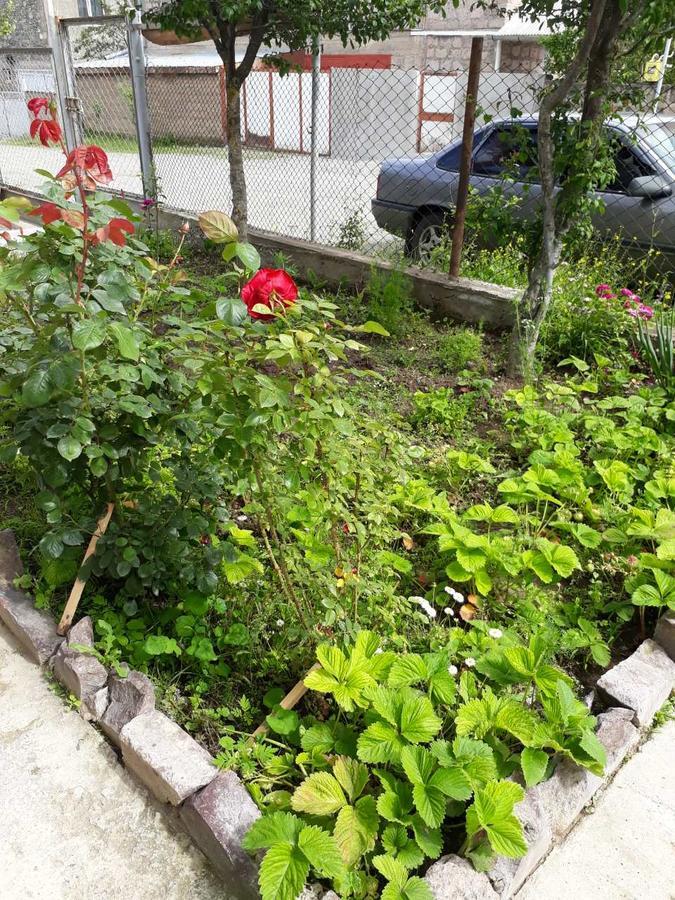 Green Dilijan B&B المظهر الخارجي الصورة